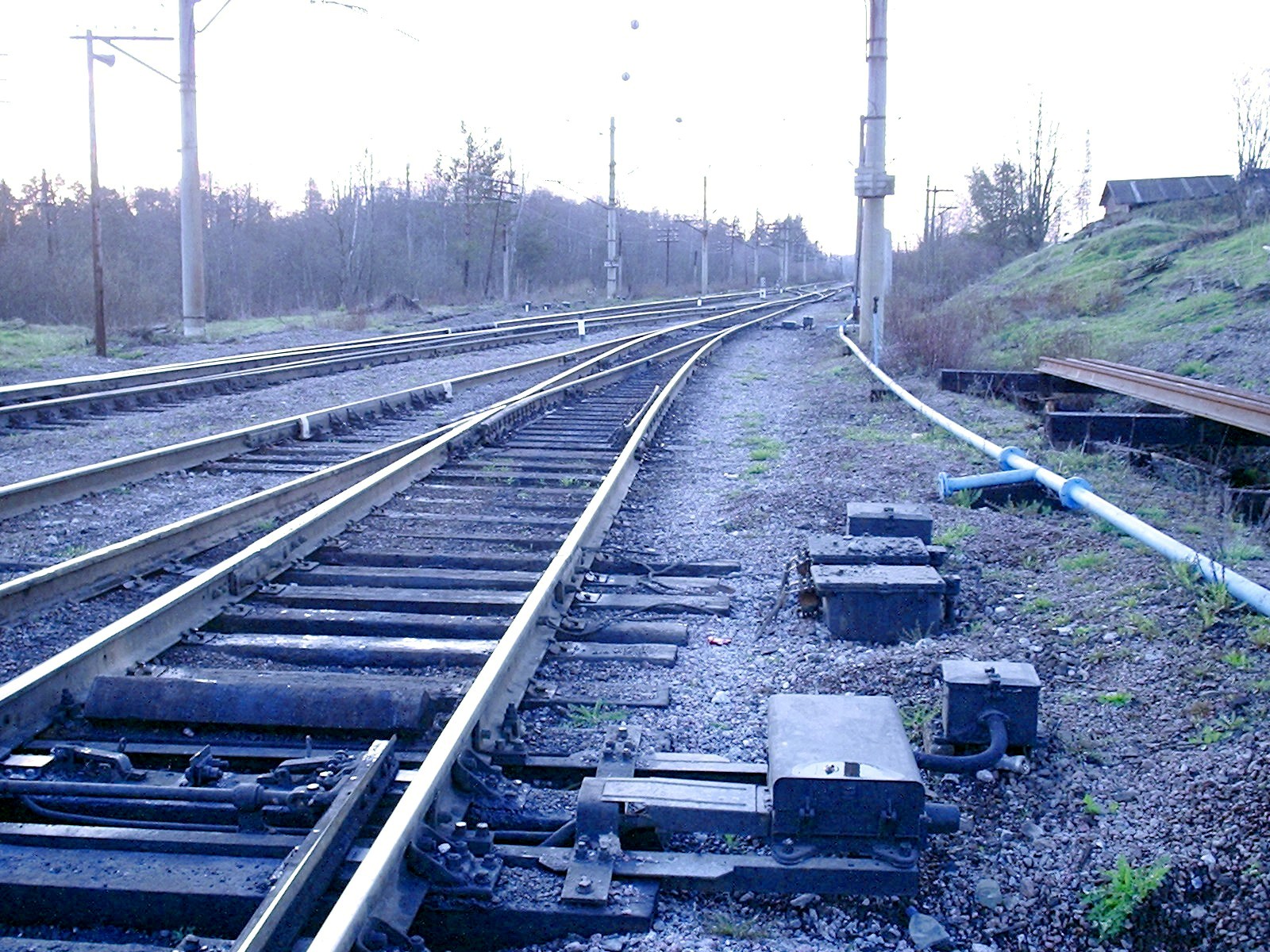 кузнечное приозерский район. поселок кузнечный администрация. поселок кузнечный приозерск. муниципальное образование кузнечное приозерский район. посёлок кузнечное ленинградская.