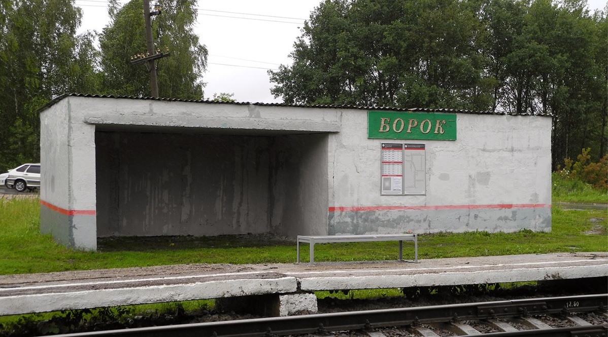 Ярославская область борок научный городок. Наукоград борок (ярославская область). П борки. Деревня борок ярославская область. П борки.