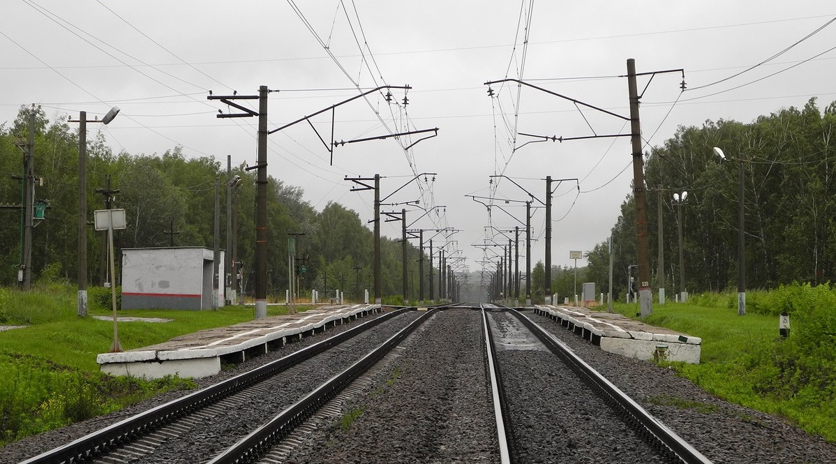 П борки. П борки. Большие борки тверь. П борки. П борки.