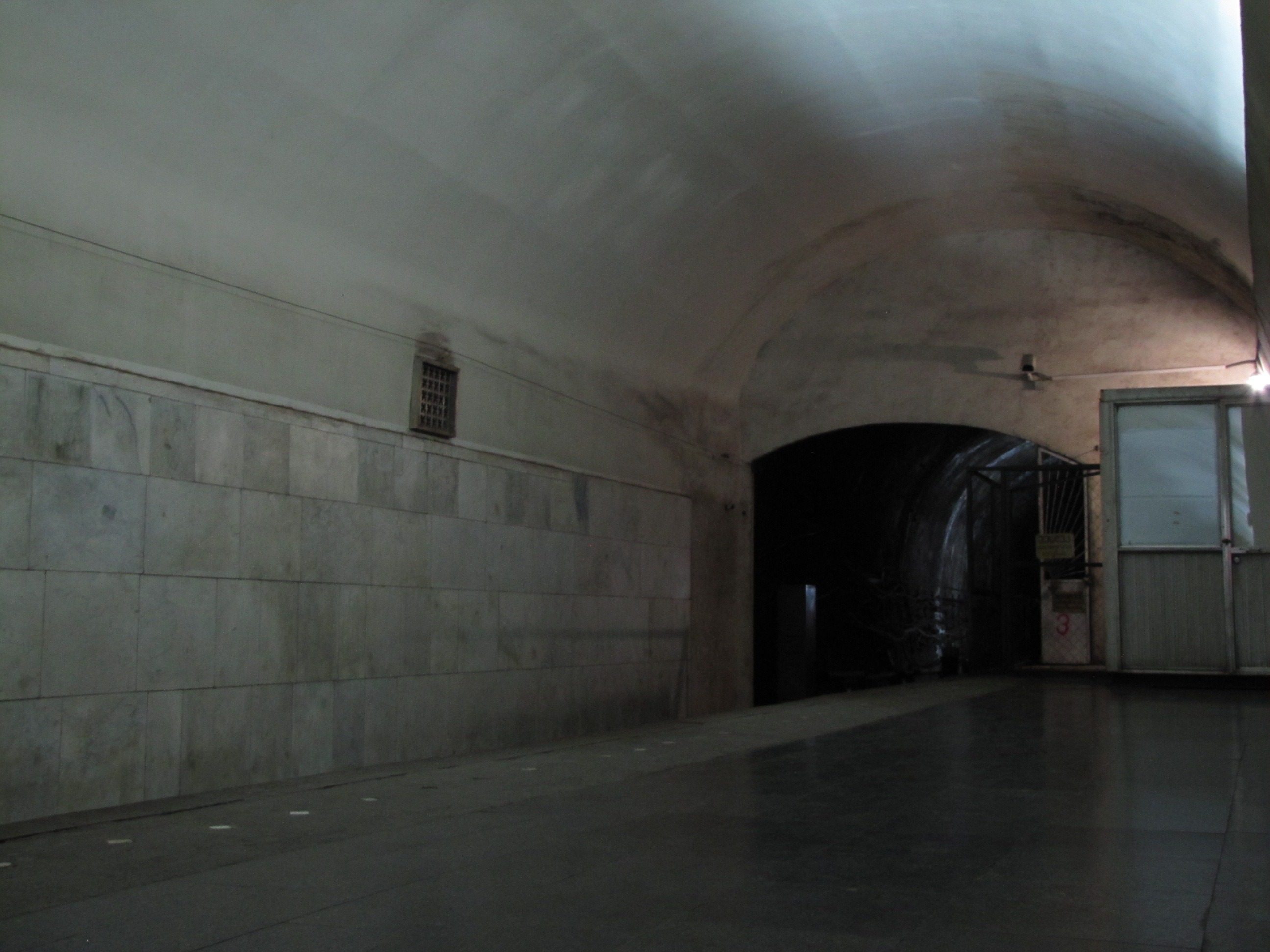 Метро 300 арагвинцев в тбилиси. Новосибирское метро станция сибирская. Метро 300 арагвинцев в тбилиси. Ст м 300. Петербургский метрополитен станция ладожская.