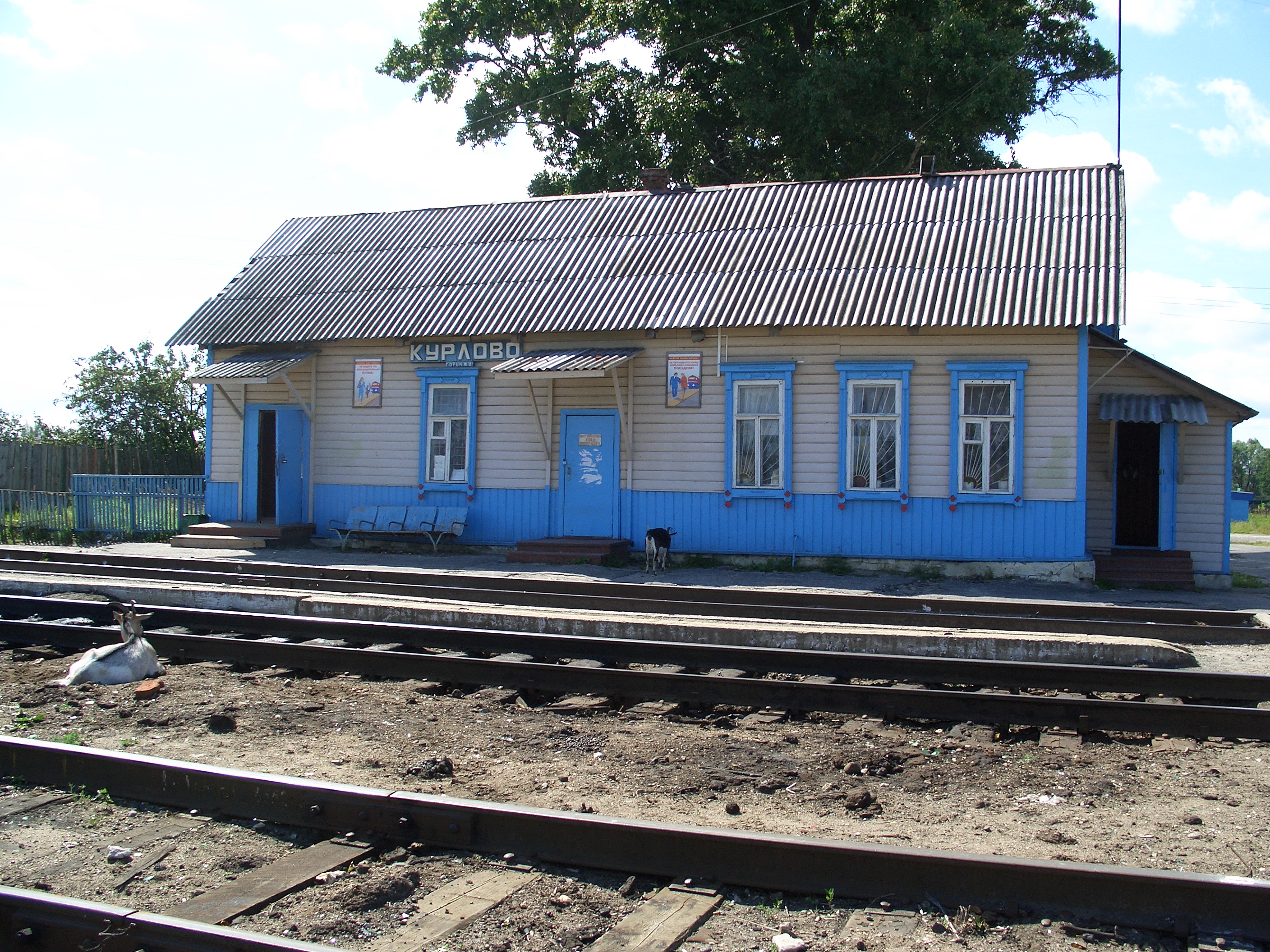 каталог Курлово