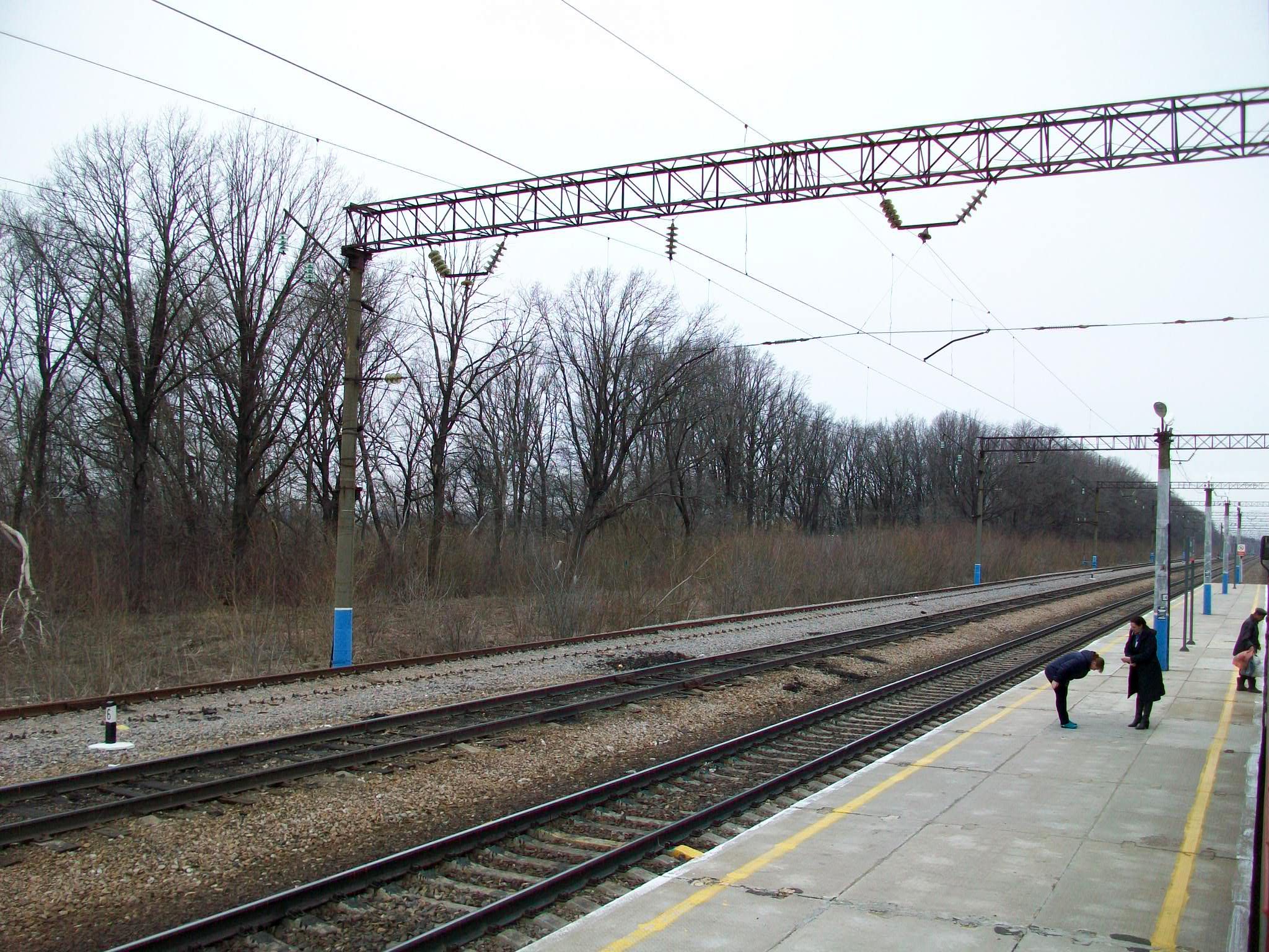 Село пухово лискинского. Село пухово лискинского. Село подгорное саратовская. Пухово подгорное. Пухово подгорное.