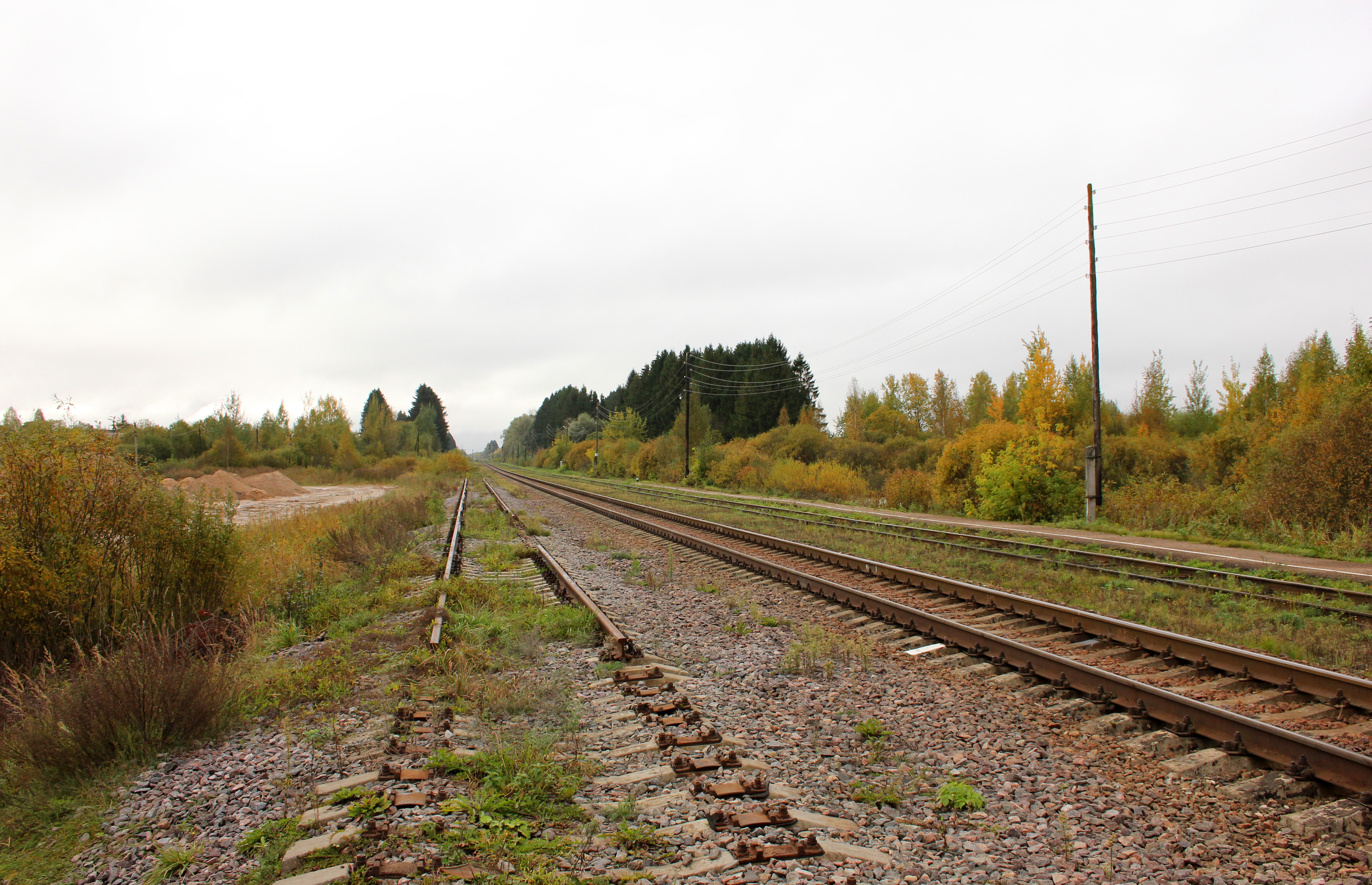 кесова гора поезд. кесова гора поезд. железнодорожная станция кесова гора. кесова гора вокзал. кесова гора станция.