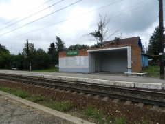 Турлатово (оп), Рязанская область, 1.jpg