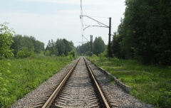 Дачная (оп), Рязанская область, 1.jpg