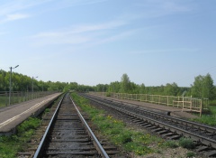 123 км (оп), Московская область, 2.jpg