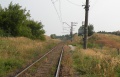 252 км (оп), Рязанская область, 3.jpg