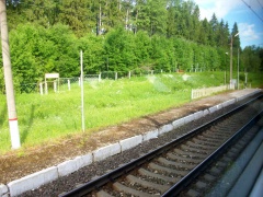 ОЖД 265 км Новгородская область 1.jpg
