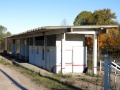 Мартышкино (оп), СПб, 2.jpg