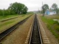 Олень-Сахалинский 3.jpg