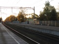 Старый Петергоф (станция), СПб, 4.jpg