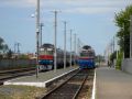 Горынь 5.jpg