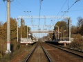 Мартышкино (оп), СПб, 7.jpg